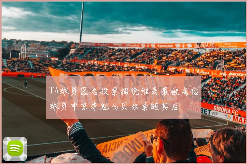 TA球员匿名投票揭晓谁是最被高估球员申京夺魁戈贝尔紧随其后
